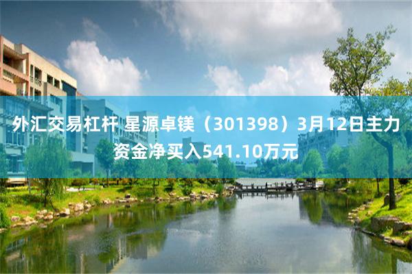 外汇交易杠杆 星源卓镁（301398）3月12日主力资金净买入541.10万元
