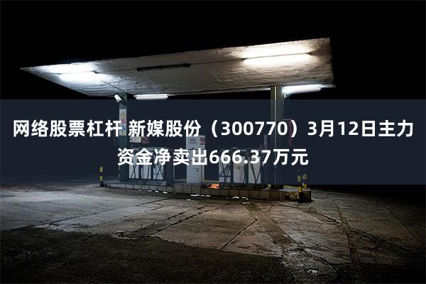 网络股票杠杆 新媒股份（300770）3月12日主力资金净卖出666.37万元