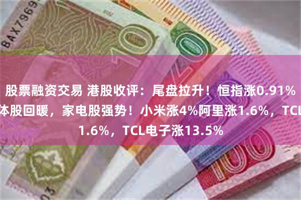 股票融资交易 港股收评：尾盘拉升！恒指涨0.91%，汽车股半导体股回暖，家电股强势！小米涨4%阿里涨1.6%，TCL电子涨13.5%