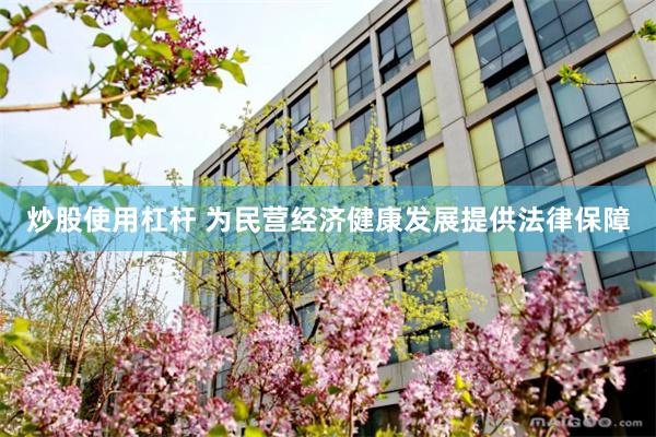 炒股使用杠杆 为民营经济健康发展提供法律保障