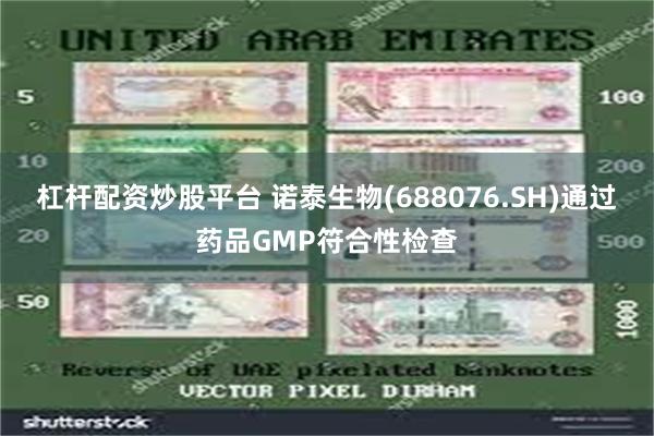 杠杆配资炒股平台 诺泰生物(688076.SH)通过药品GMP符合性检查