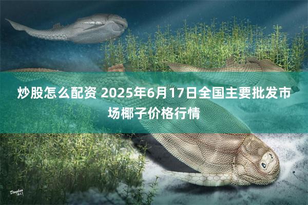 炒股怎么配资 2025年6月17日全国主要批发市场椰子价格行情