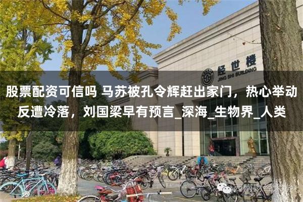 股票配资可信吗 马苏被孔令辉赶出家门，热心举动反遭冷落，刘国梁早有预言_深海_生物界_人类