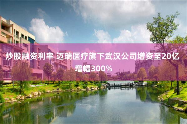 炒股融资利率 迈瑞医疗旗下武汉公司增资至20亿 增幅300%